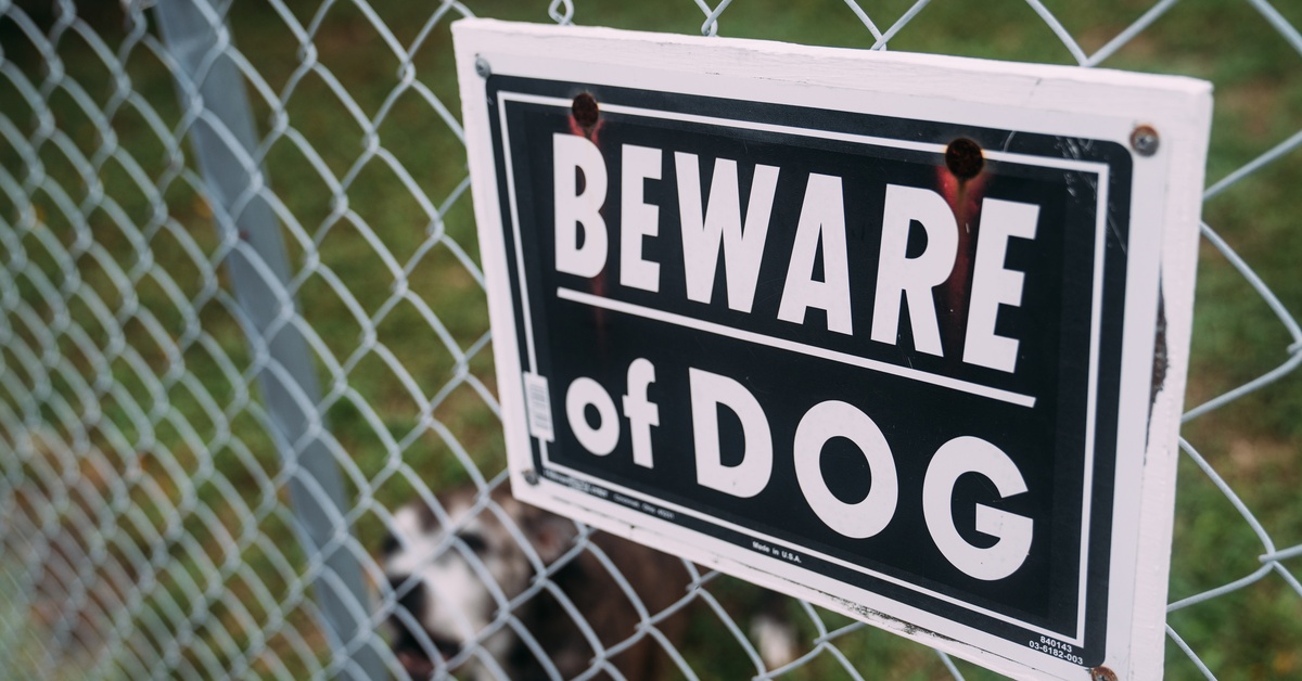 A close-up of a "Beware of Dog" sign attached to a chain-link fence with a dog behind it in the background.