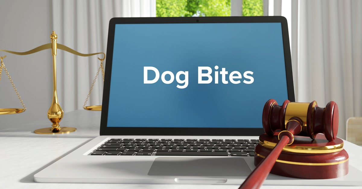 A laptop that reads "Dog Bites" on the screen set up next to a gavel on a desk in front of a window.